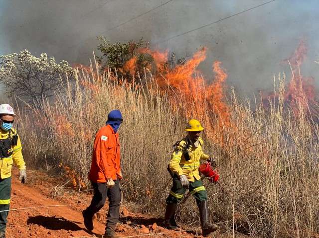 52007003639_a2e8979630_z