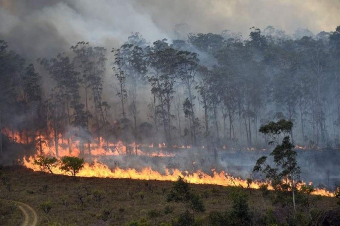 Floresta Nacional de Brasília reabre para visitação após mais de um mês fechada por incêndios