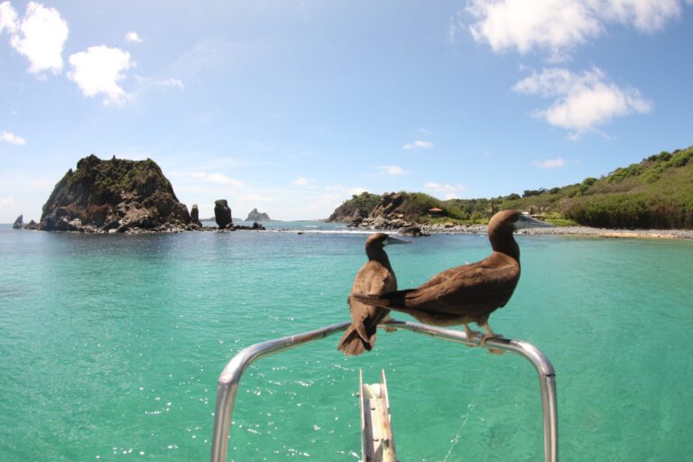 ‘Turismo de Instagram’ e pousada de celebridades geram recorde em multas ambientais em Fernando de Noronha