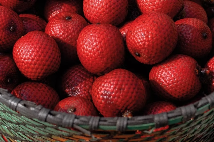 Buriti: veja os benefícios para a saúde da fruta rica em antioxidantes