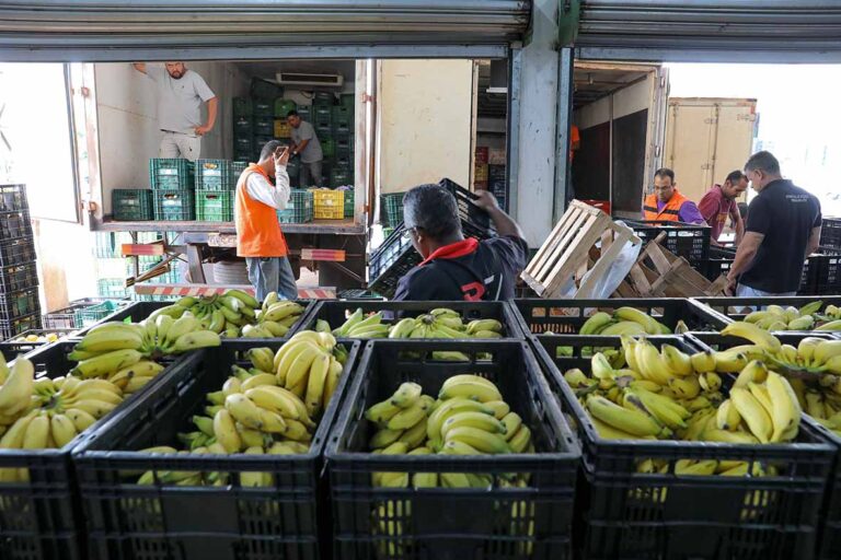 Papa-DF beneficia mais de 56 mil pessoas por meio da distribuição de alimentos