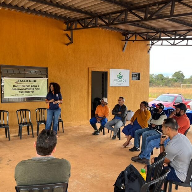 Campanha promove recolhimento de embalagens de agrotóxicos e testes toxicológicos