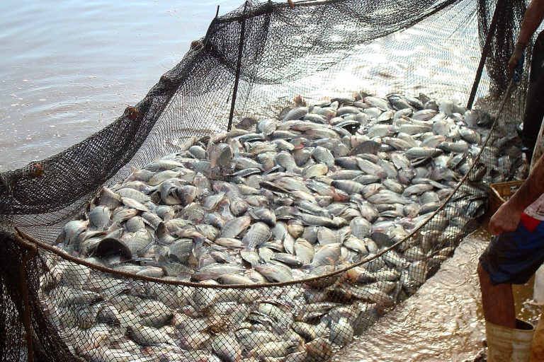 Debate sobre os efeitos da indústria de combustíveis fósseis na pesca