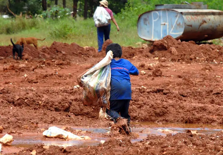 Trabalho infantil: 1,2 milhão em empregos e 455 mil em produção para consumo próprio