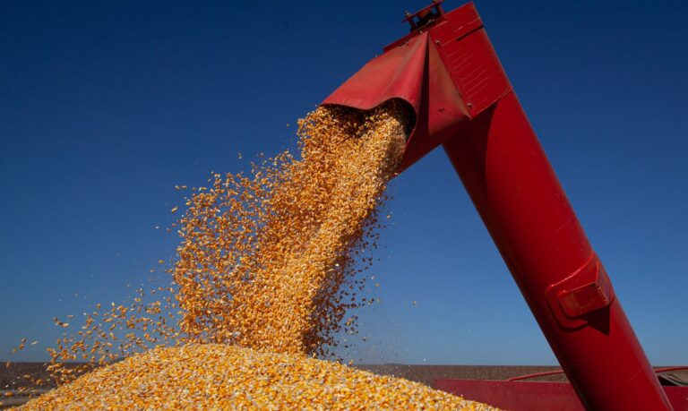 Conab prevê produção recorde de 353,8 milhões de toneladas de grãos em 2025/26