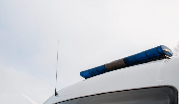 Design-sem-nome-3.png-1