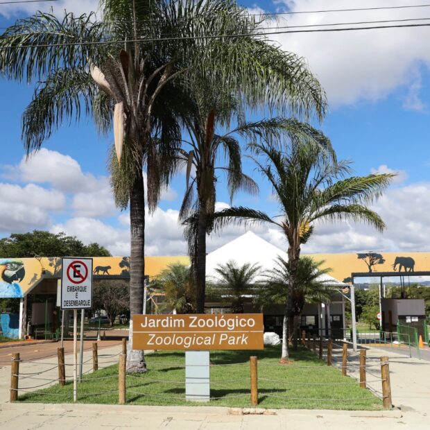 Zoológico de Brasília busca empresa para vender comida e bebida