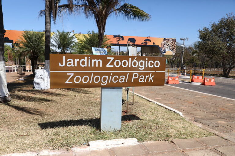 Zoológico de Brasília oferece entrada gratuita para mulheres no sábado