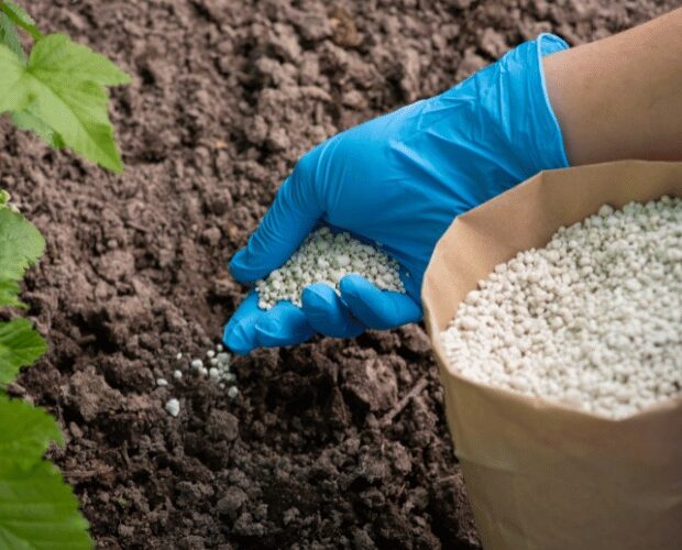 Preços de fertilizantes sobem por causa da crise mundial, diz governo