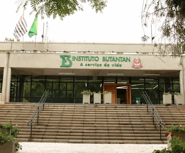 Butantan vai fabricar remédio moderno para tratar câncer no SUS