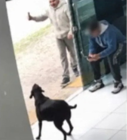 Polícia Civil isenta PM que matou cão comunitário no Paraná